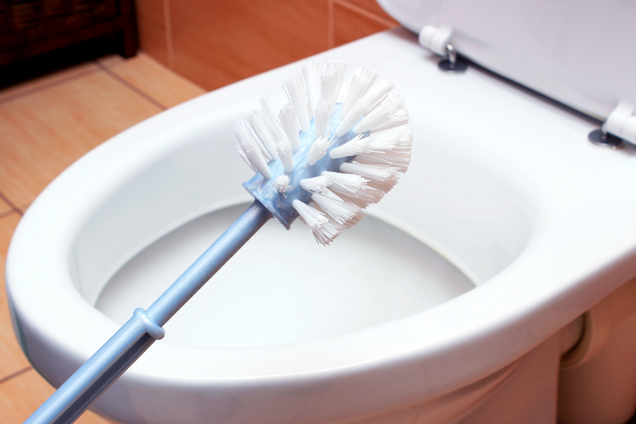 Brush for cleaning and toilet bowl in background, concept for house cleaning and household duties